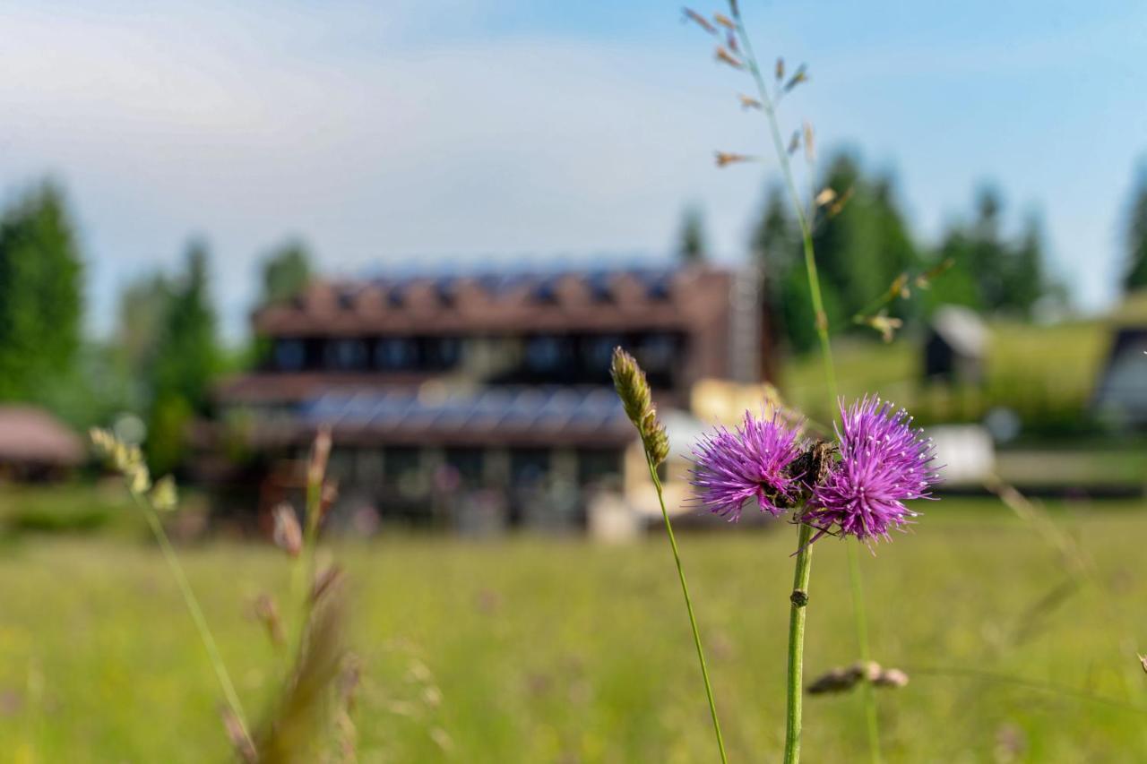 Pensiunea La Bella Vista Poiana Negrii Exteriér fotografie
